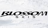 『速報』BLOSSOM SKI 2019-20 モデル