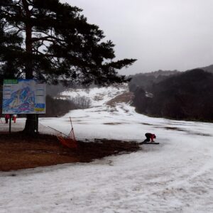 北海道新幹線でスキーに行きたい！