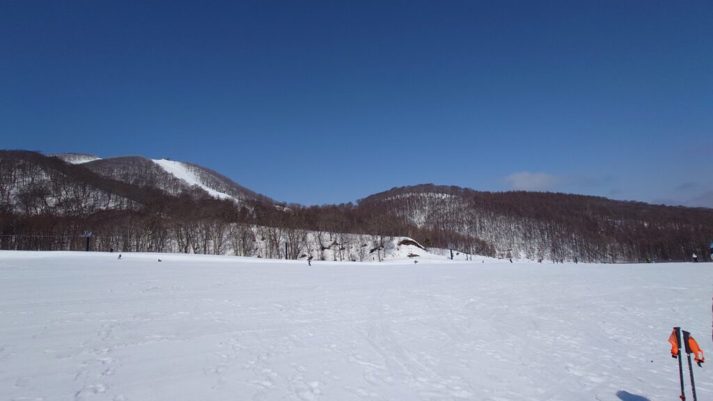 意外に良い雪？ネコママウンテン 5 回目