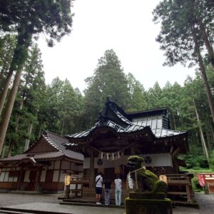 土休日に一往復だけのレア路線 東武バスセントラル松原 31 系統