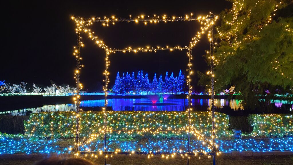 予想外に良き！かわちイルミネーション 2025