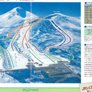 貝と格闘 3 時間！潮干狩りに行ってきました