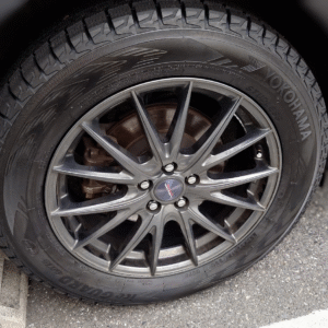 ひたち海浜公園のネモフィラ 2021 と定番回転寿司