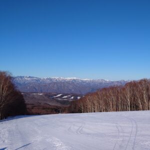 駆け込み乗車に効果あり？半自動ドア