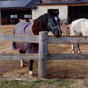 最新！最大級！バスターミナル「バスタ新宿」見物