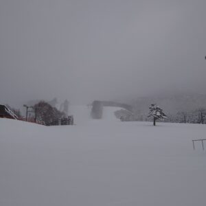 最高の船旅！太平洋フェリー「いしかり」乗船記