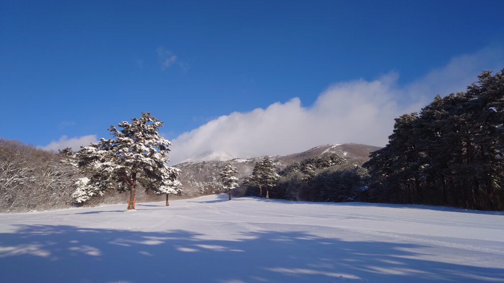 団体三昧とクルマトラブル 2 件。猪苗代業務日誌 20260128