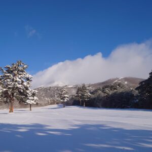 新型レヴォーグ（VN）or 新型アウトバック（BT）？