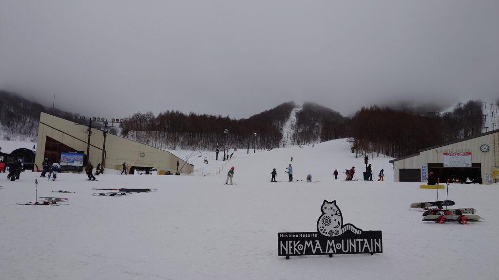 ネコマ初滑り。休日日記 20260223