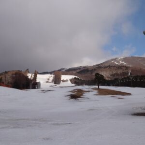 猪苗代で肉料理といえば「レストラン白鳥」さんへ