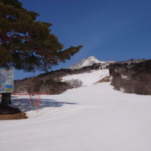 同じようで違います。元旦（がんたん）と元日（がんじつ）