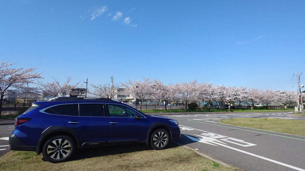 見頃は過ぎましたが。レガシィアウトバックでお花見ドライブ