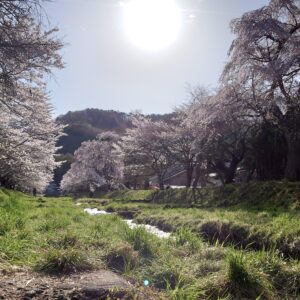 スキーを車内にすっきり収納！イレクターでスキーラック作成（Part.2 車載編）