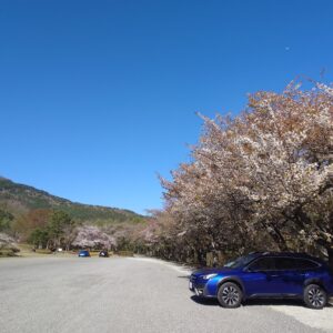 がんばれインフラ。近所の SUBARU ディーラーの場合