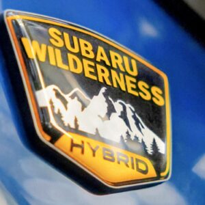 パクリ店に負けないで！オススメ居酒屋「塚田農場」